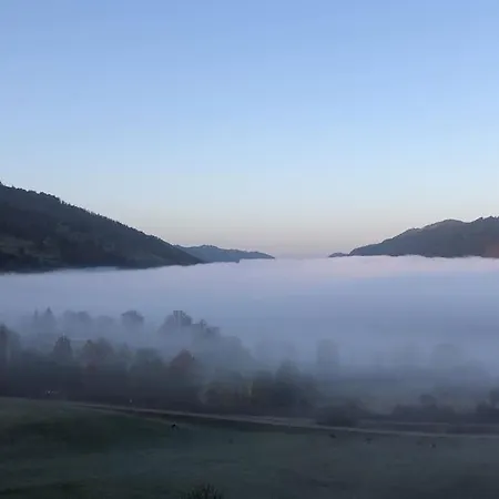 Direkt An Den Wanderwegen Lejlighed *